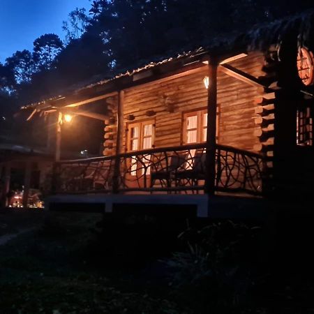 Aya Natural Udumbanshola ภายนอก รูปภาพ
